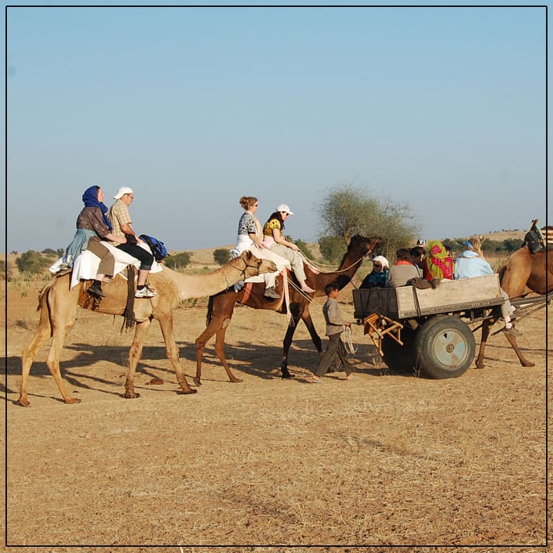 With The Assistance of The Prepared and Veteran Camel Handlers, We Help Our Visitors Take Ride On a camel In Dessert.