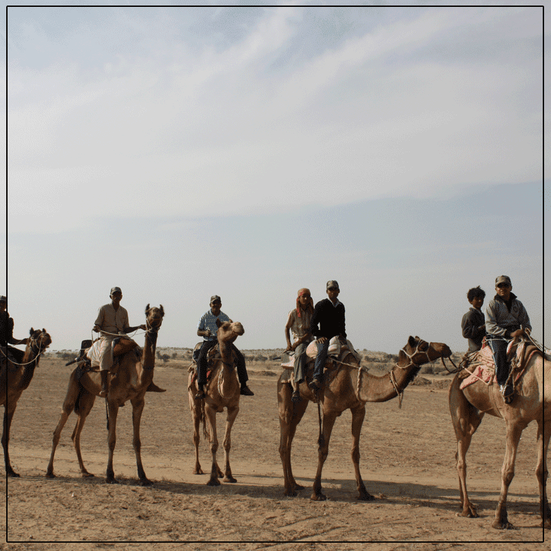 We provide a Camel Ride in Dessert For Our Guests.