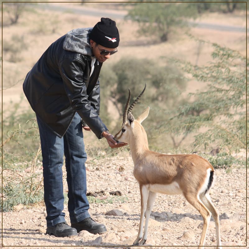 Visit The Famous wildlife sanctuaries in Jodhpur
